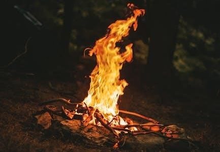 the extras academy survival guide
